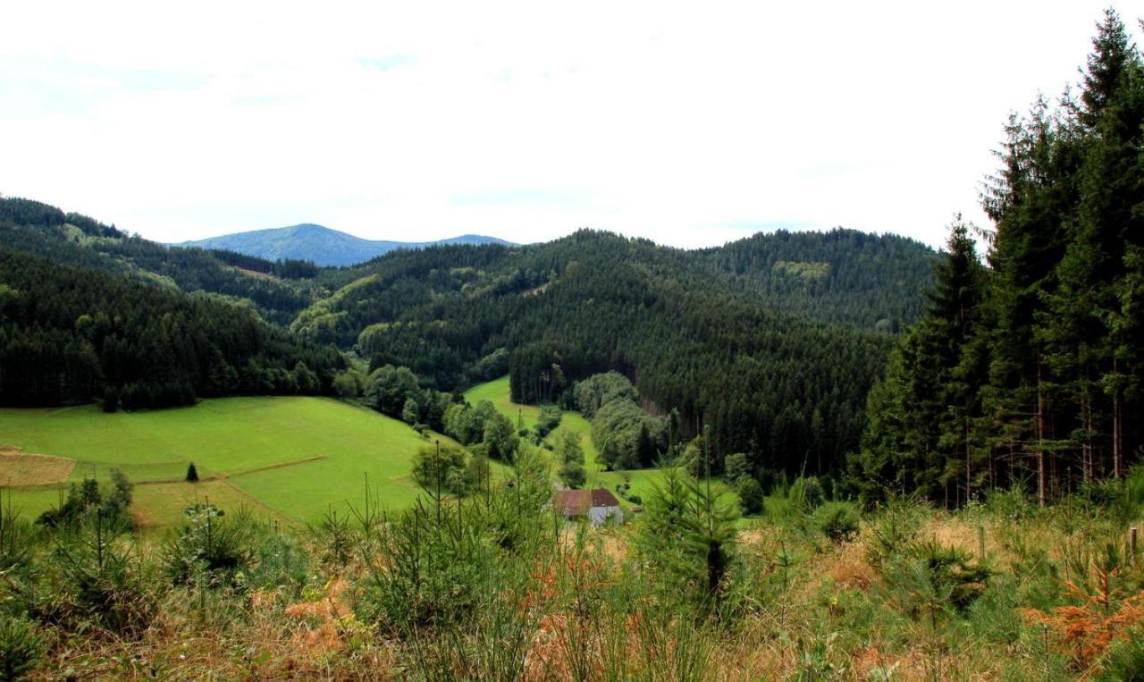 Gemuetliches Haus Im Herzen Des Schwarzwaldes Fuer Bis Zu 9 Personen Elzach Luaran gambar